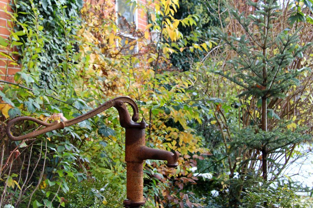 Ferienwohnung Zinne-Wigger Steimbke Exterior foto