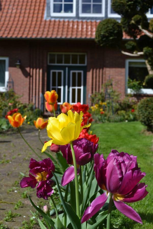 Ferienwohnung Zinne-Wigger Steimbke Exterior foto